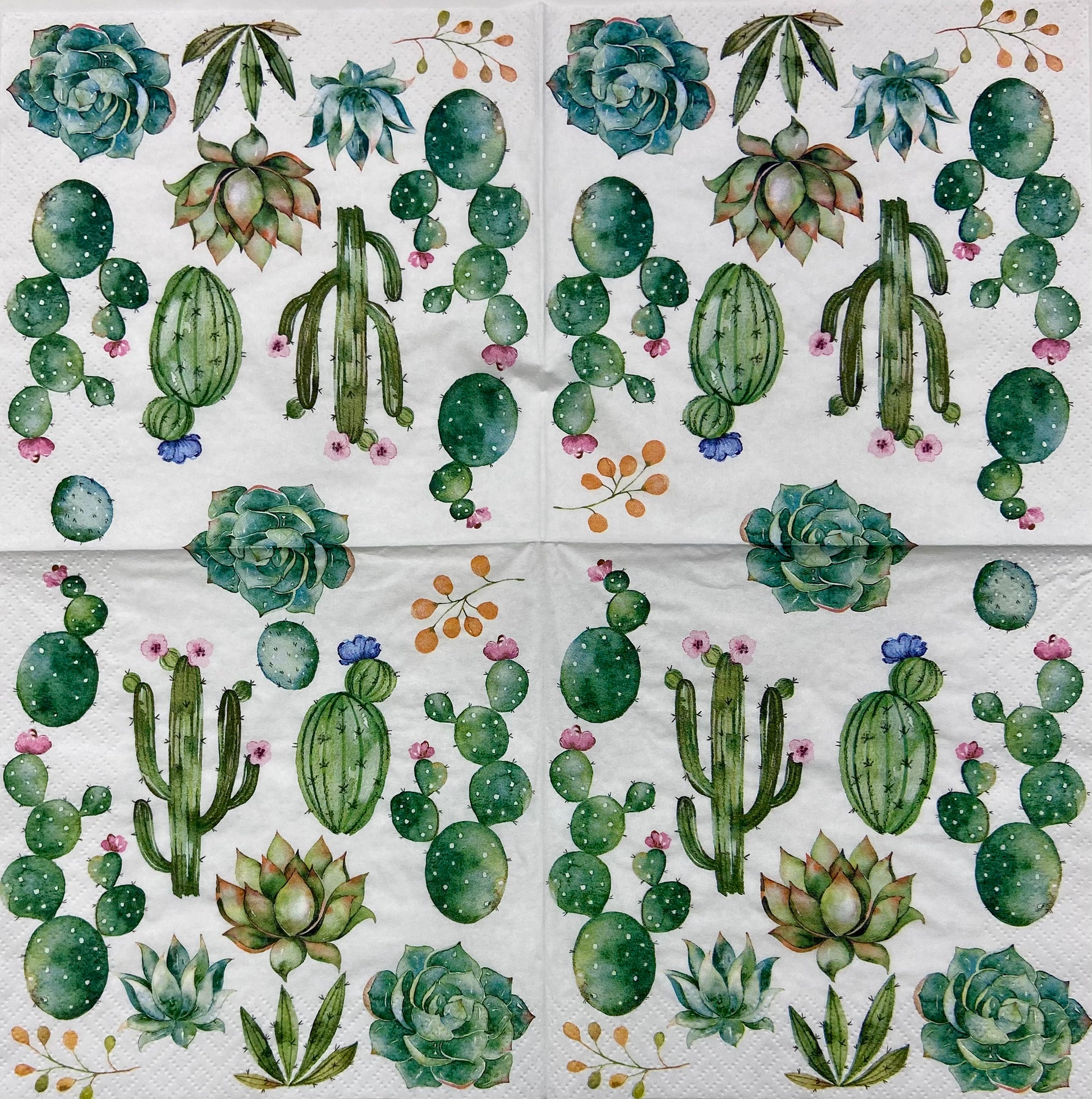 Decoupage Napkins 6.5" (2pcs)- Cactus & Succulents