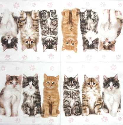 Decoupage Napkins 6.5" (2pcs)- Cats