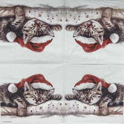 Decoupage Napkins 6.5"  (2pcs)- Dreaming About X-Mas