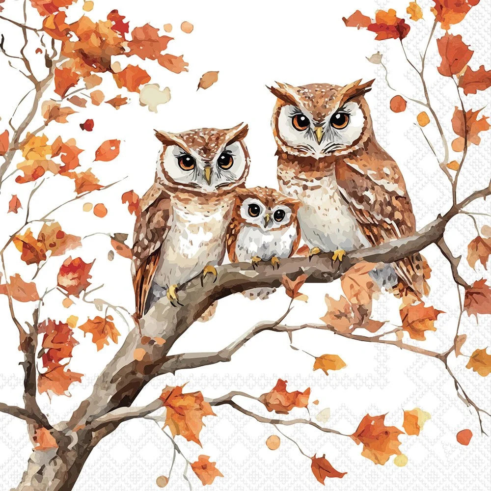 Decoupage Napkins 6.5" (2pcs)- Family of Owls