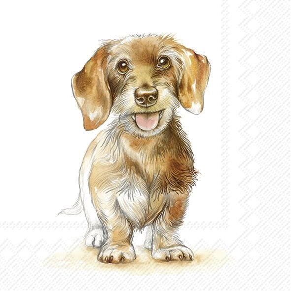 Decoupage Napkins 6.5" (2pcs)- Fritz