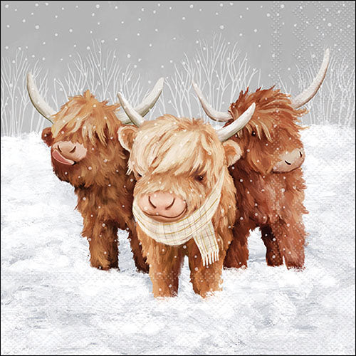 Decoupage Napkins 6.5"  (2pcs)- John