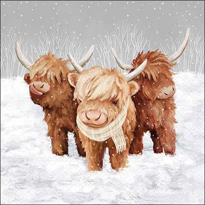 Decoupage Napkins 6.5"  (2pcs)- John