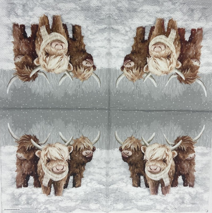 Decoupage Napkins 6.5"  (2pcs)- John