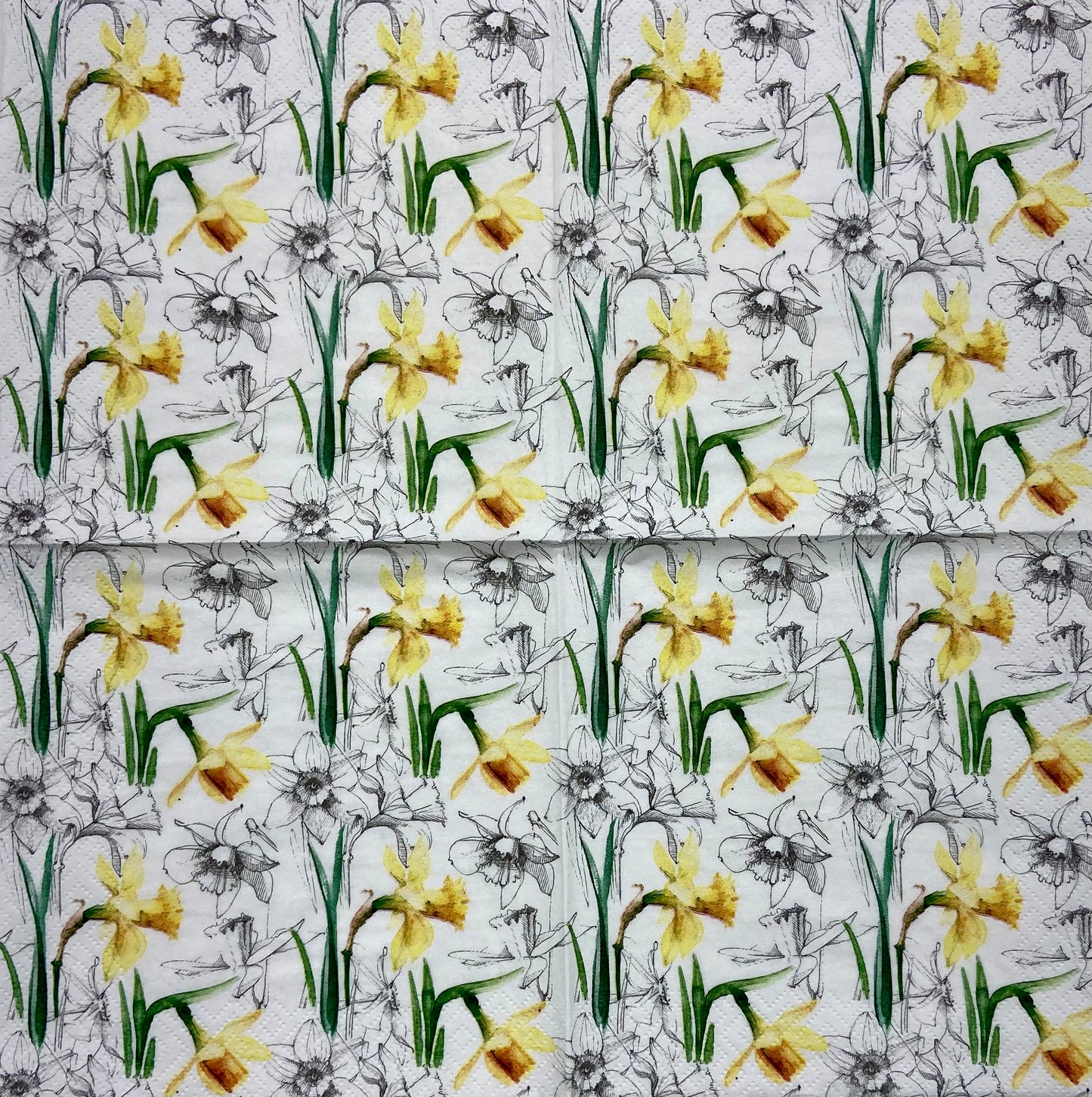 Decoupage Napkins 6.5" (2pcs)- Narcissus Sketch