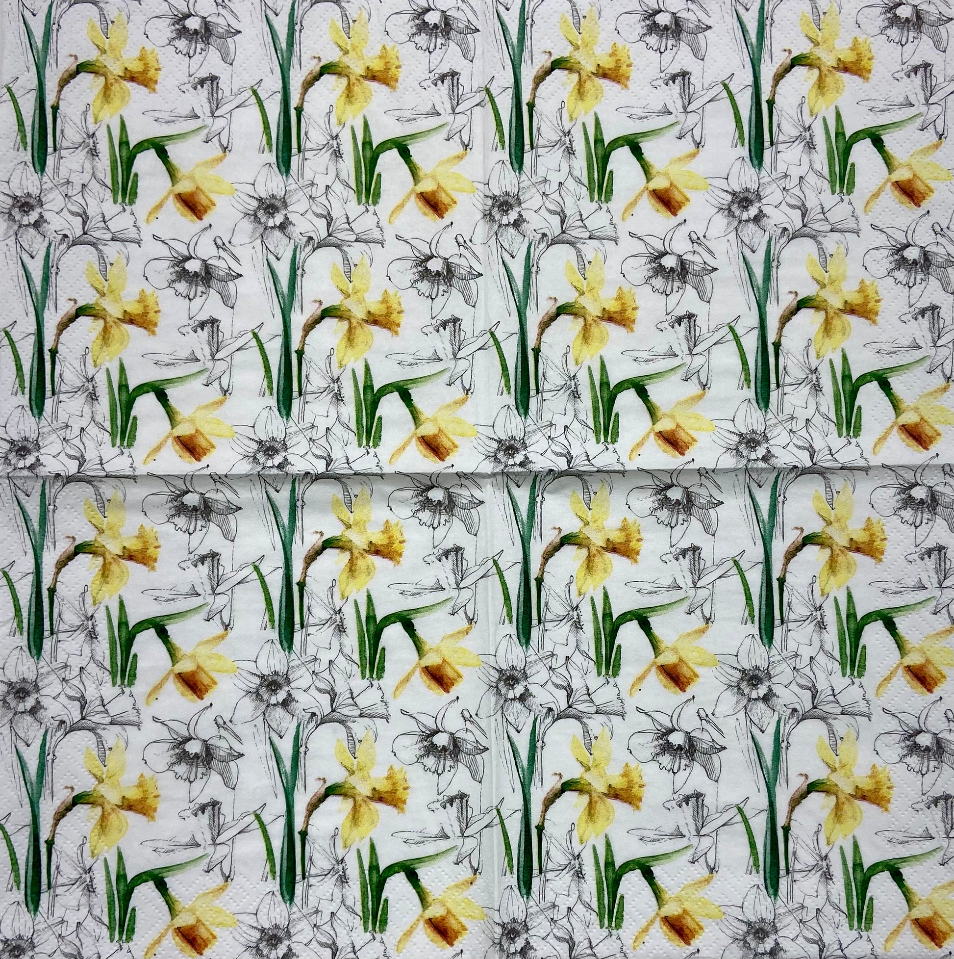 Decoupage Napkins 6.5" (2pcs)- Narcissus Sketch