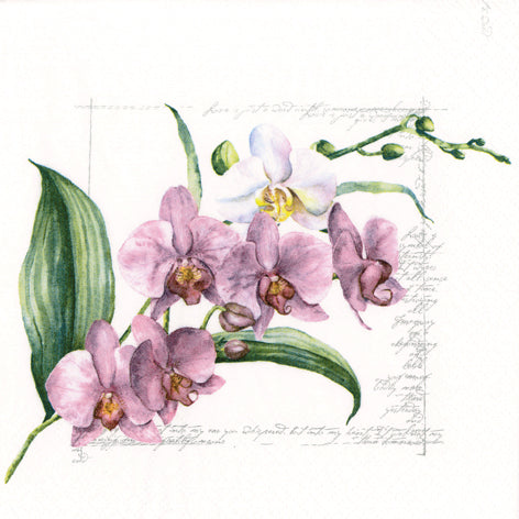 Decoupage Napkins 6.5"  (2pcs)- Orchidée PINK