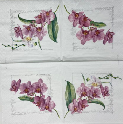 Decoupage Napkins 6.5"  (2pcs)- Orchidée PINK