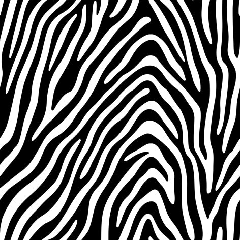 Decoupage Napkins 6.5" (2pcs)- Plains Zebra