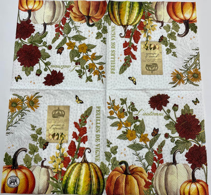 Decoupage_Napkins_6.5_2pcs_-_Pumpkin_Delight