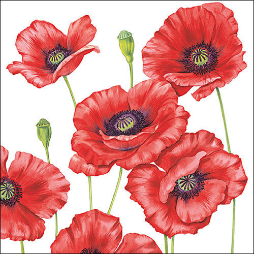 Decoupage Napkins 6.5"  (2pcs)- Romantic Poppy
