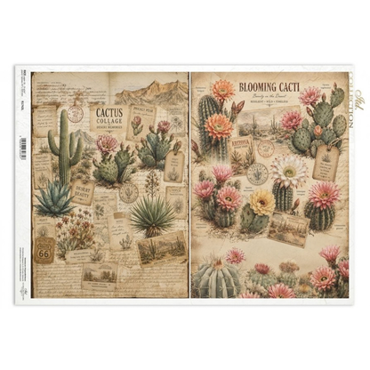 Decoupage Rice Paper - Blooming CactiA3
