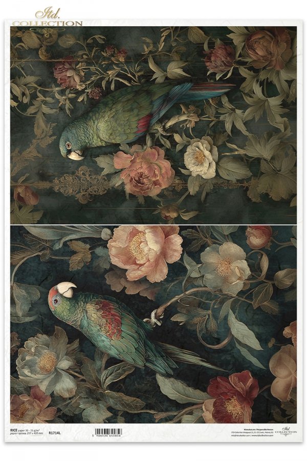 Decoupage Rice Paper - Botanical Boudoir, ParrotA3