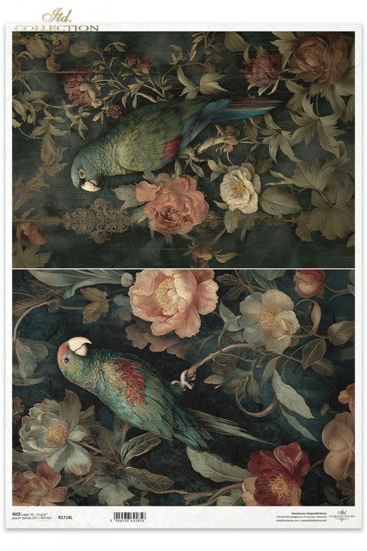 Decoupage Rice Paper - Botanical Boudoir, ParrotA3
