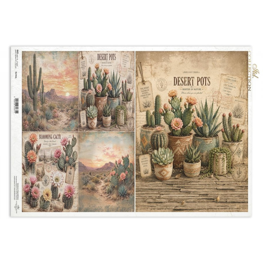 Decoupage Rice Paper - CactiA3