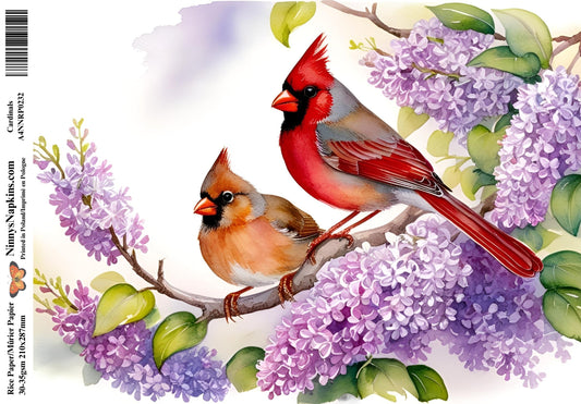 Decoupage Rice Paper - Cardinals