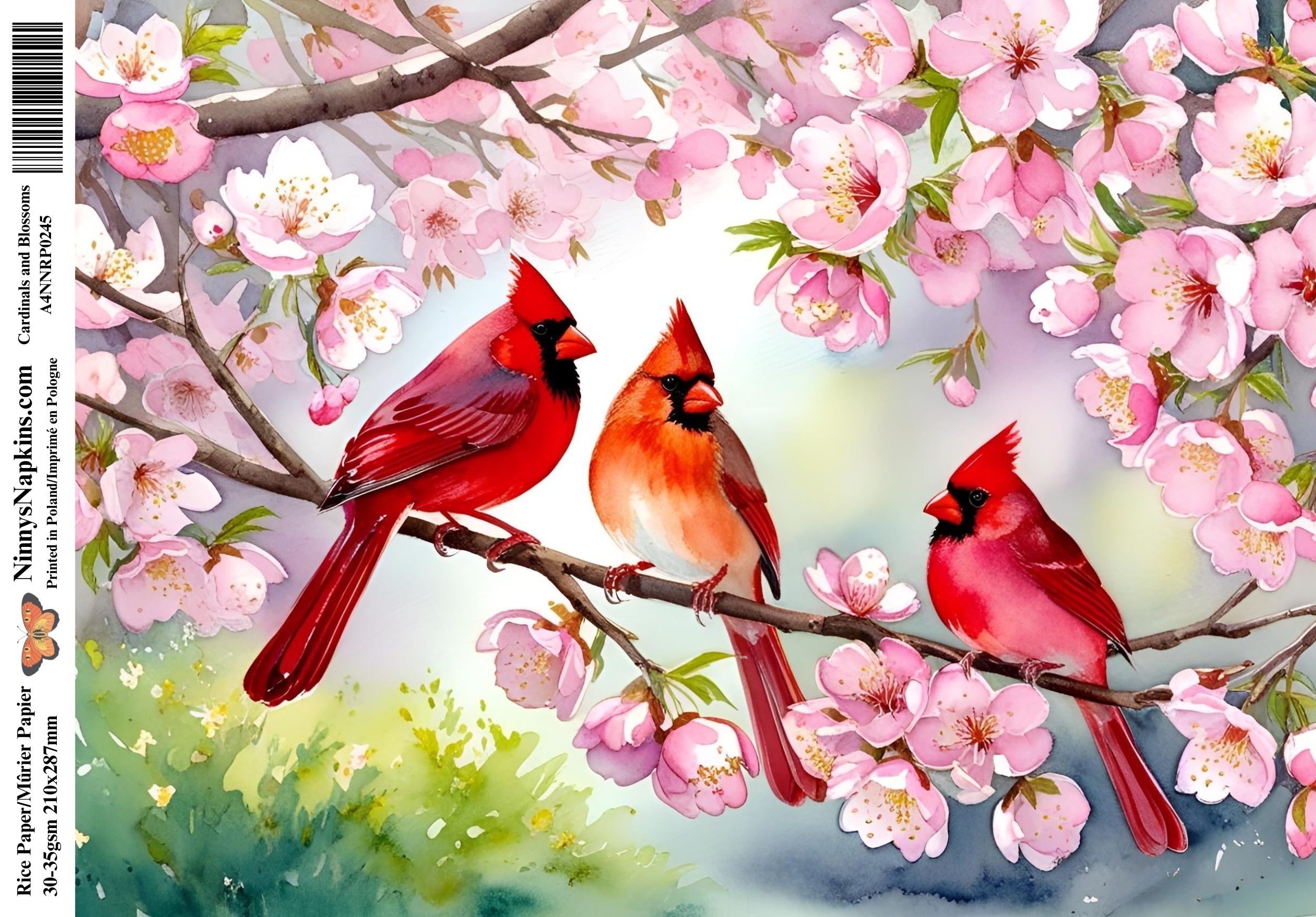 Cardinal Rice Decoupage Rice Paper - Cardinals and Blossoms – Ninnys Napkins