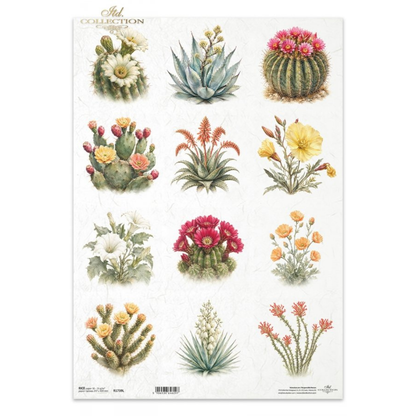 Decoupage Rice Paper - Desert FlowersA3