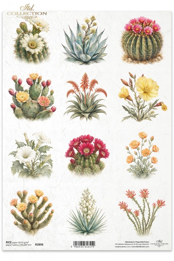 Decoupage Rice Paper - Desert FlowersA4