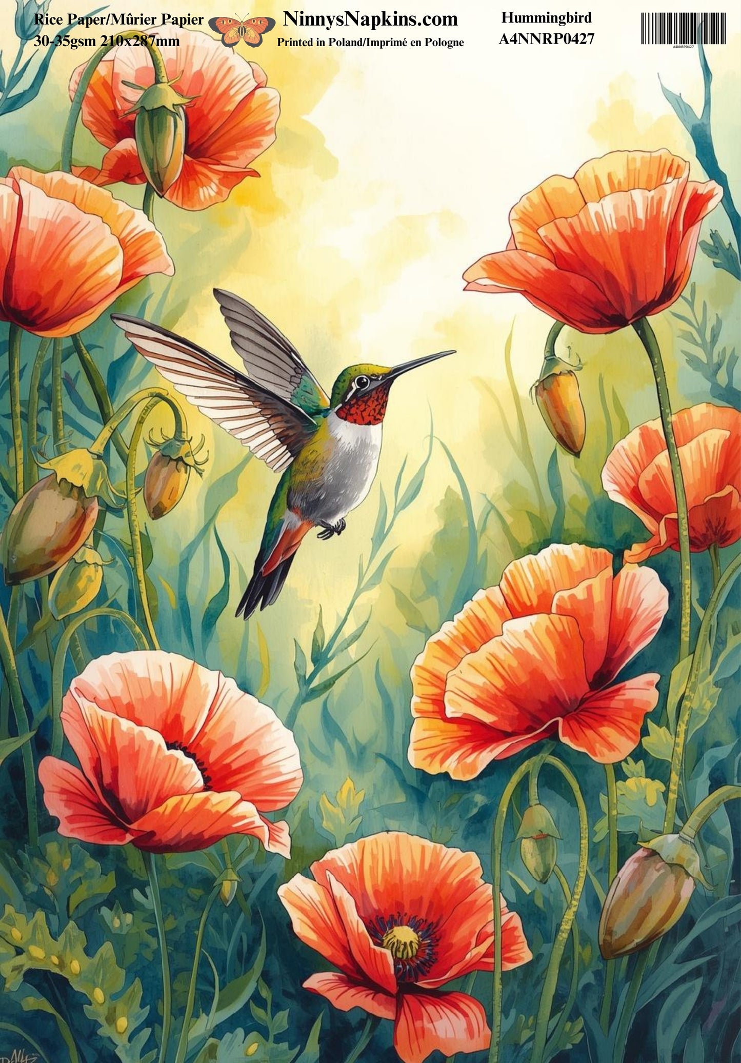 Decoupage Rice Paper - Hummingbird