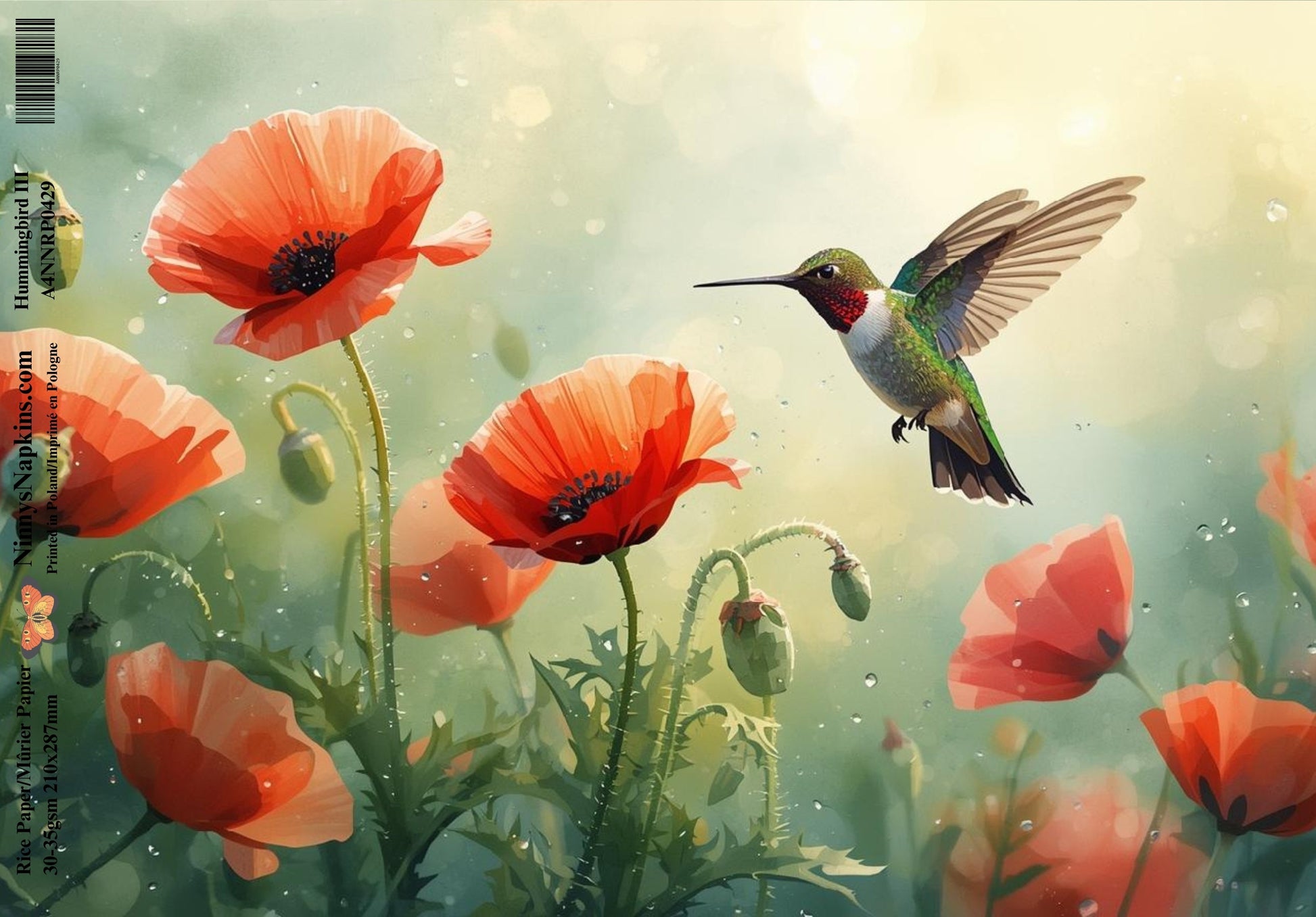 Decoupage Rice Paper - Hummingbird III