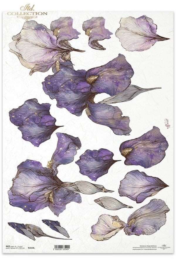 Decoupage Rice Paper - Iris PetalsA3