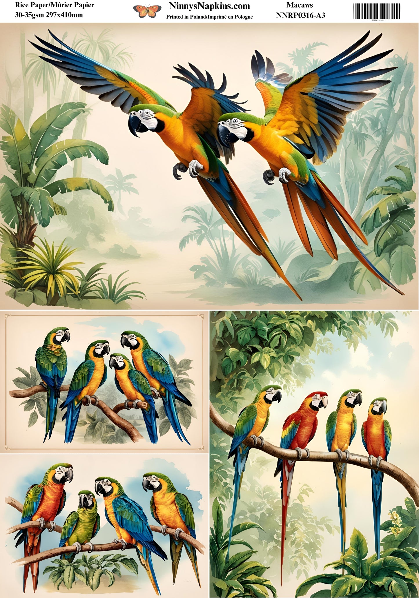 Decoupage Rice Paper - Macaws