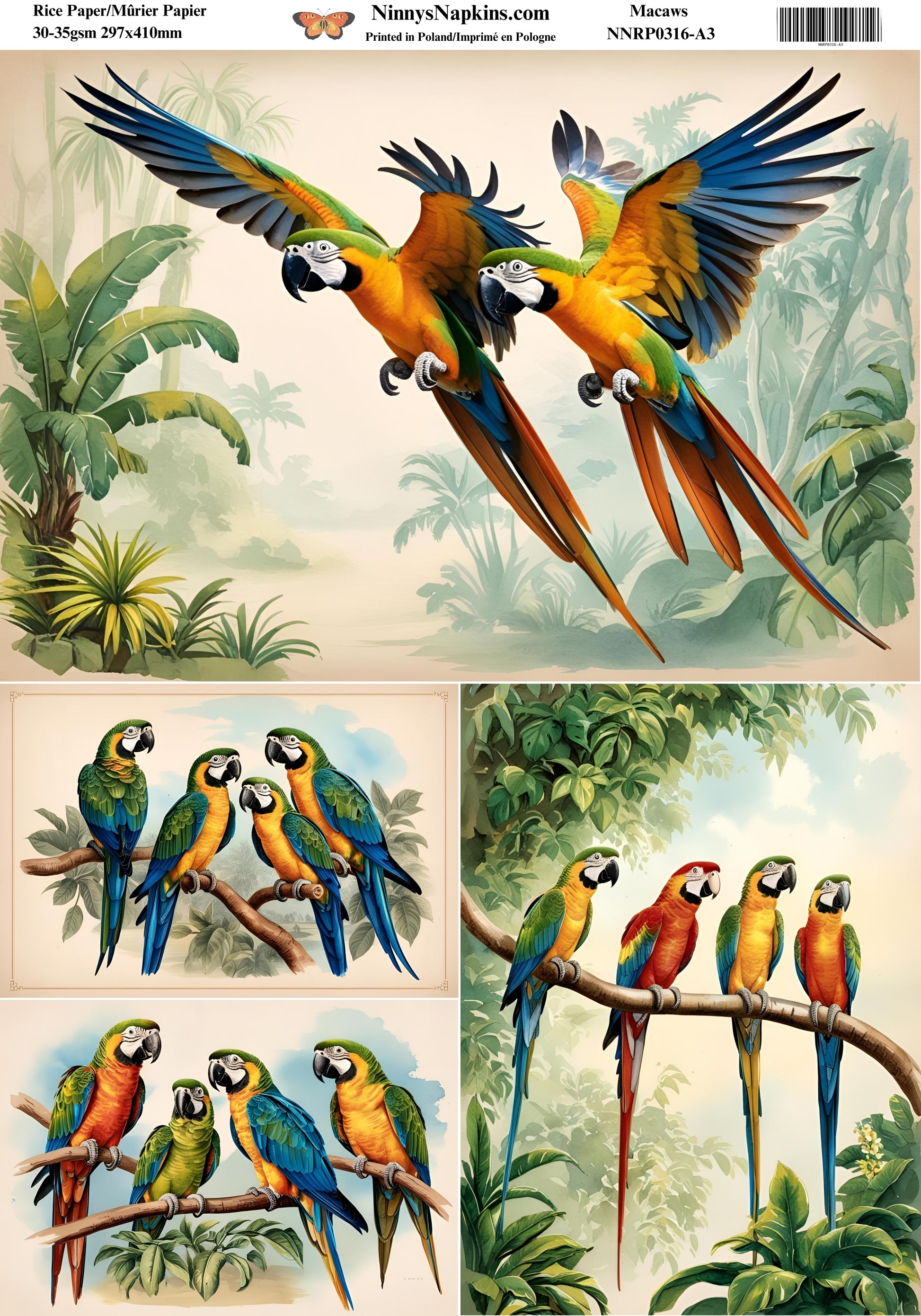 Decoupage Rice Paper - Macaws