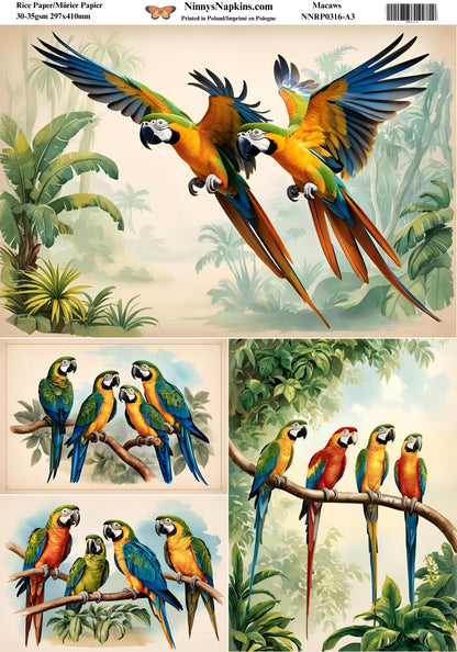 Decoupage Rice Paper - Macaws