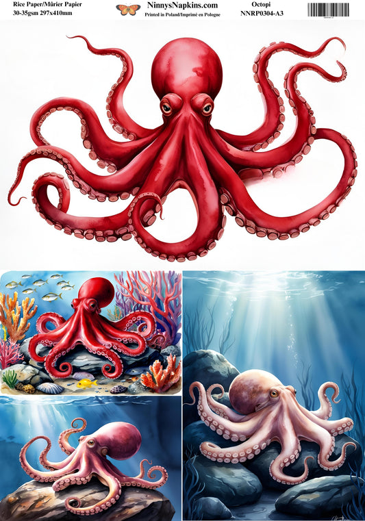 Decoupage Rice Paper - Octopi