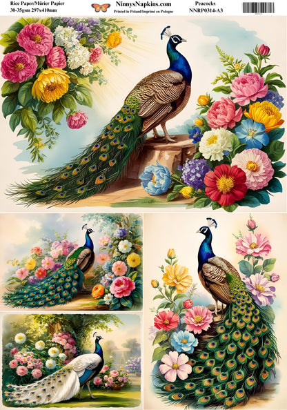 Decoupage Rice Paper - Peacock