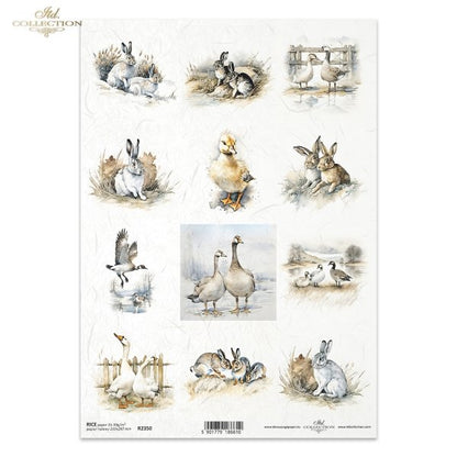Decoupage Rice Paper - Rabbits and Geese
