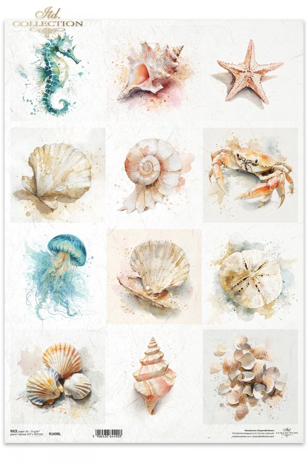 Decoupage Rice Paper - SeashellsA3