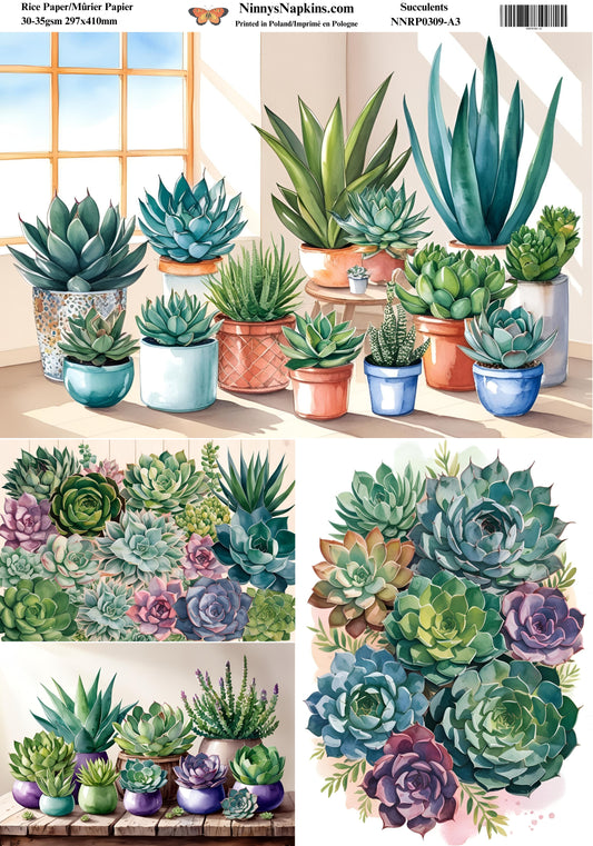 Decoupage Rice Paper - Succulents
