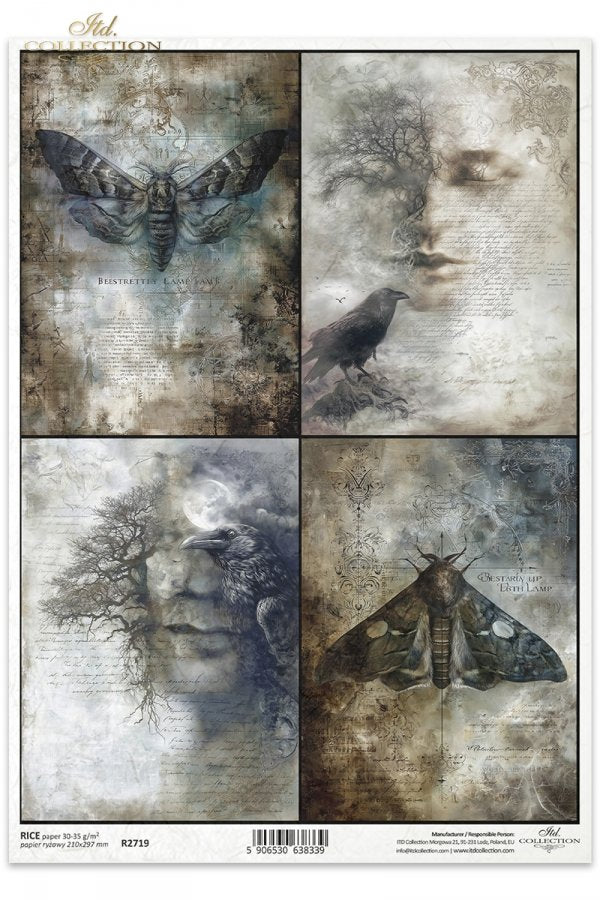 Decoupage Rice Paper - The Watchers II A4