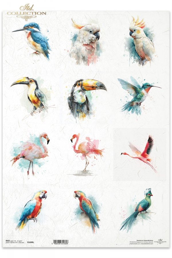 Decoupage Rice Paper - Tropical BirdsA3