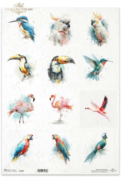Decoupage Rice Paper - Tropical BirdsA3