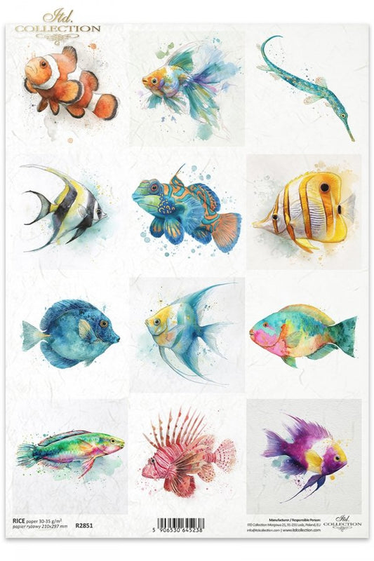 Decoupage Rice Paper - Tropical FishA4
