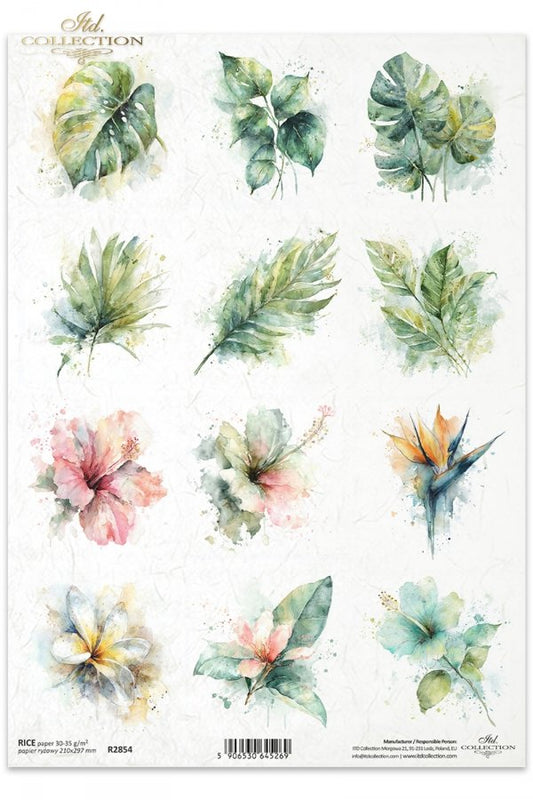Decoupage Rice Paper - Tropical Flowers and LeavesA4