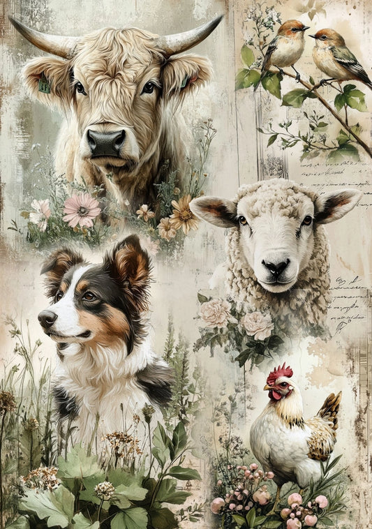 Decoupage Rice Paper A4 - Field of Friends