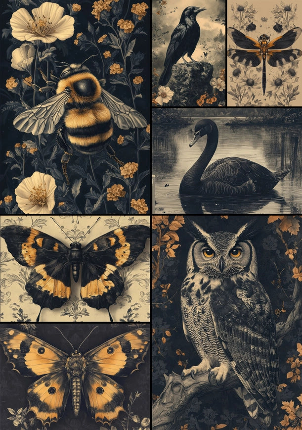 Decoupage Rice Paper A4 - Wings of Night