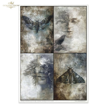 Decoupage Rice Paper Creative Kit - Light and Shadow Part 2 (Special Pre-Order)