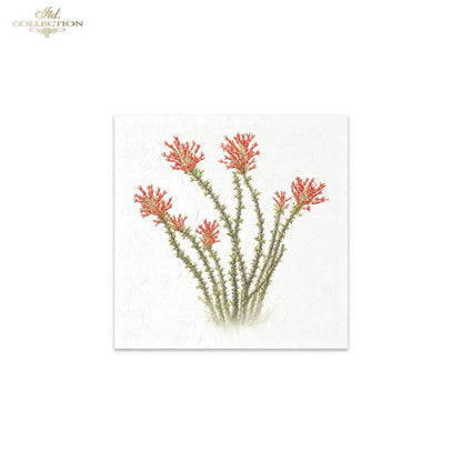 Decoupage Rice Paper Mini Set - Desert Flowers
