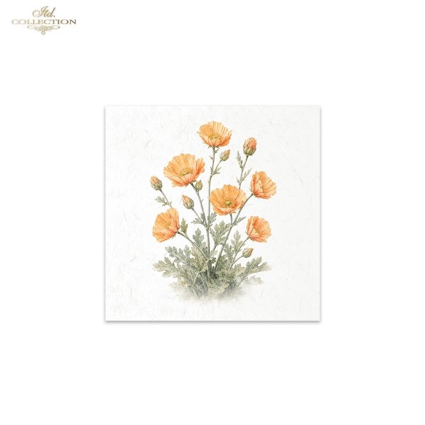 Decoupage Rice Paper Mini Set - Desert Flowers
