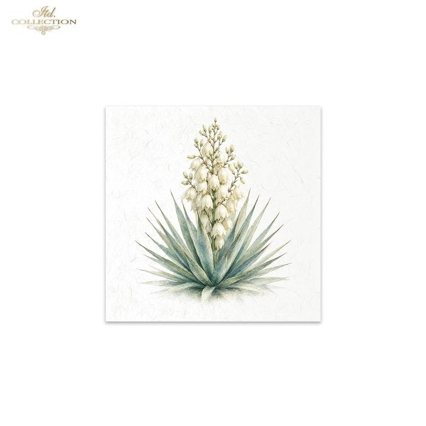 Decoupage Rice Paper Mini Set - Desert Flowers