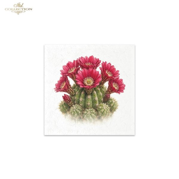 Decoupage Rice Paper Mini Set - Desert Flowers