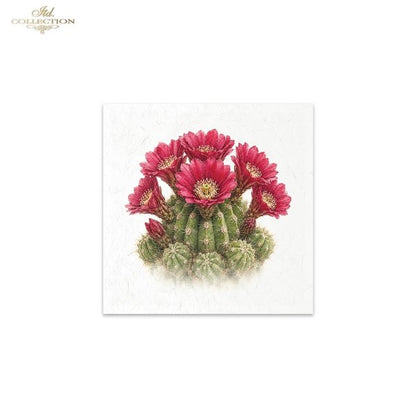 Decoupage Rice Paper Mini Set - Desert Flowers