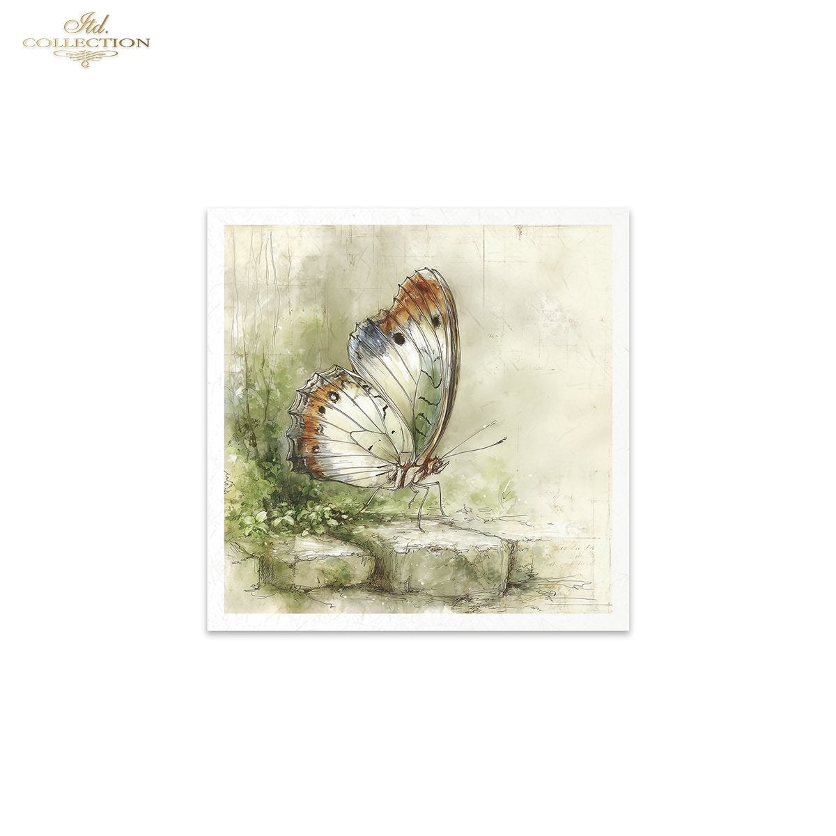 Decoupage Rice Paper Mini Set - Insects