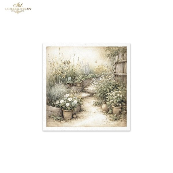 Garden scene with potted plants and a path