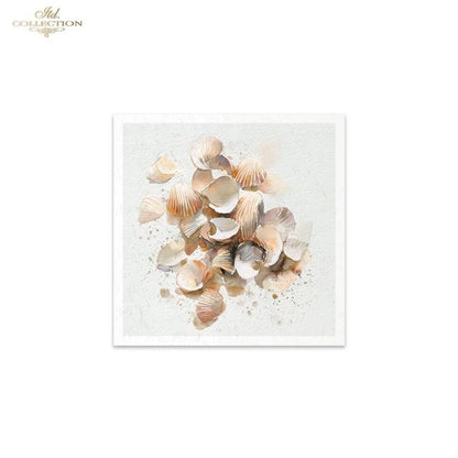 Decoupage Rice Paper Mini Set - Seashells